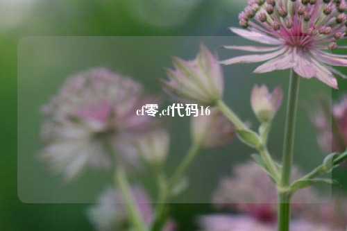 cf零,cf代码16