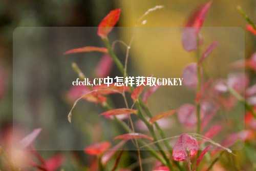 cfcdk,CF中怎样获取CDKEY