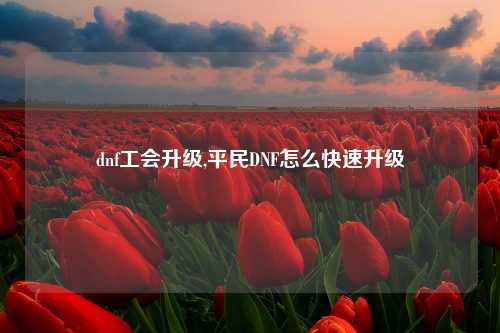 dnf工会升级,平民DNF怎么快速升级