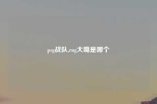 psg战队,rng大嘴是哪个