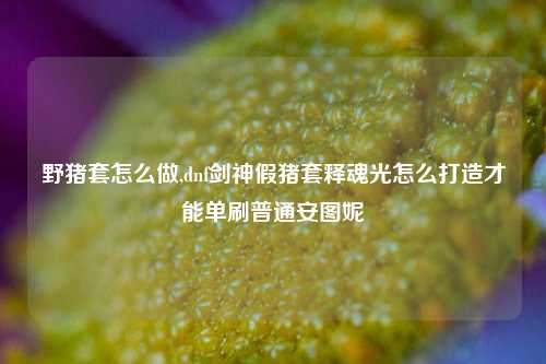 野猪套怎么做,dnf剑神假猪套释魂光怎么打造才能单刷普通安图妮