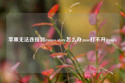 苹果无法连接到itunes store怎么办,mac打不开itunes