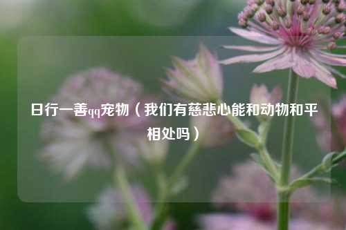 日行一善qq宠物（我们有慈悲心能和动物和平相处吗）