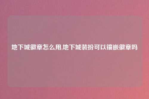 地下城徽章怎么用,地下城装扮可以镶嵌徽章吗