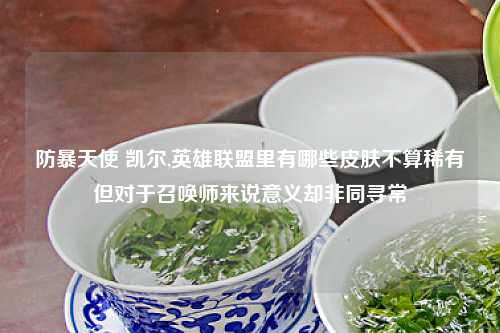 防暴天使 凯尔,英雄联盟里有哪些皮肤不算稀有但对于召唤师来说意义却非同寻常