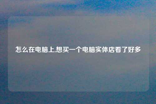 怎么在电脑上,想买一个电脑实体店看了好多