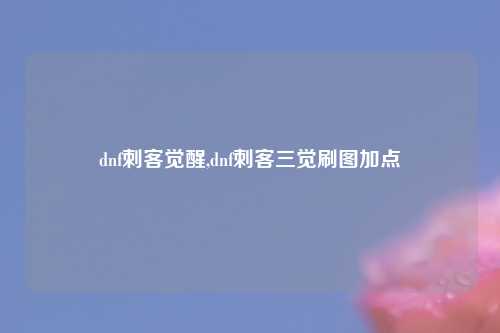 dnf刺客觉醒,dnf刺客三觉刷图加点