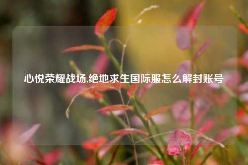 心悦荣耀战场,绝地求生国际服怎么解封账号