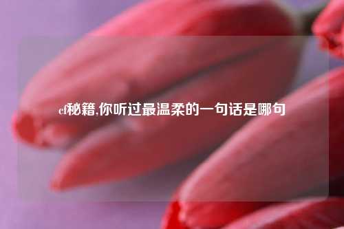 cf秘籍,你听过最温柔的一句话是哪句