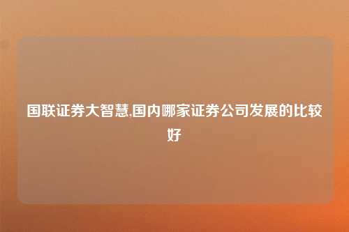 国联证券大智慧,国内哪家证券公司发展的比较好