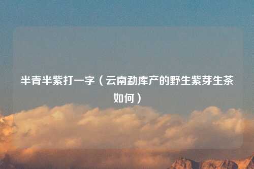 半青半紫打一字（云南勐库产的野生紫芽生茶如何）