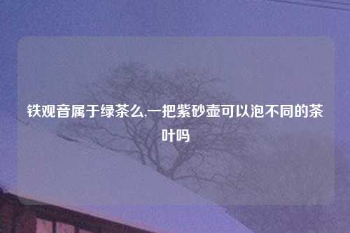 铁观音属于绿茶么,一把紫砂壶可以泡不同的茶叶吗