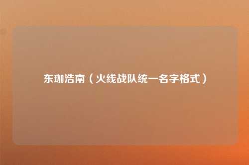 东珈浩南（火线战队统一名字格式）