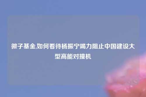 微子基金,如何看待杨振宁竭力阻止中国建设大型高能对撞机