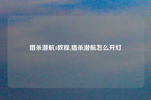 猎杀潜航4教程,猎杀潜航怎么开灯