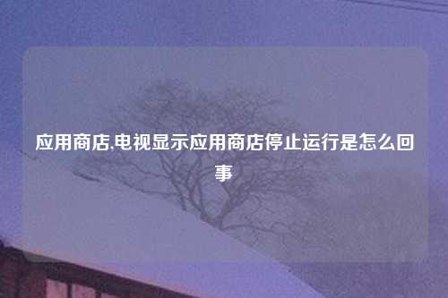 应用商店,电视显示应用商店停止运行是怎么回事