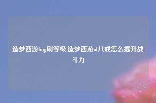 造梦西游bug刷等级,造梦西游ol八戒怎么提升战斗力