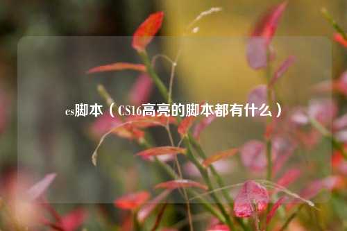 cs脚本（CS16高亮的脚本都有什么）