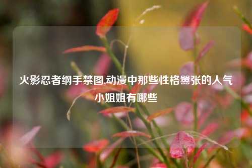 火影忍者纲手禁图,动漫中那些性格嚣张的人气小姐姐有哪些