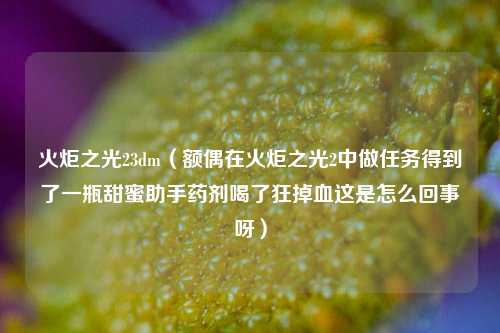 火炬之光23dm（额偶在火炬之光2中做任务得到了一瓶甜蜜助手药剂喝了狂掉血这是怎么回事呀）