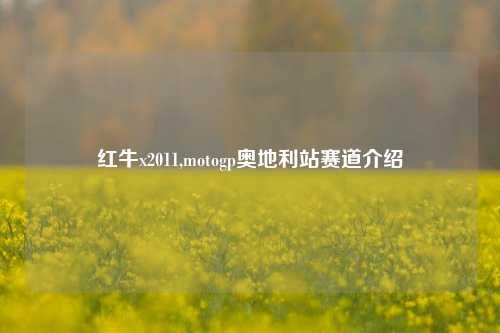 红牛x2011,motogp奥地利站赛道介绍