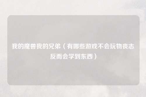 我的魔兽我的兄弟（有哪些游戏不会玩物丧志反而会学到东西）