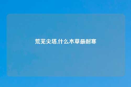 荒芜尖塔,什么木草最耐寒