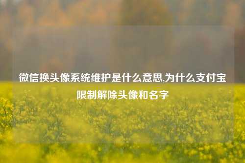 微信换头像系统维护是什么意思,为什么支付宝限制解除头像和名字