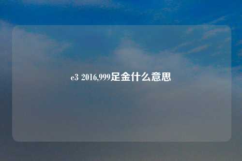e3 2016,999足金什么意思