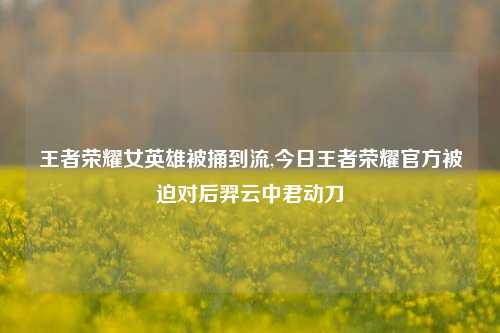王者荣耀女英雄被捅到流,今日王者荣耀官方被迫对后羿云中君动刀