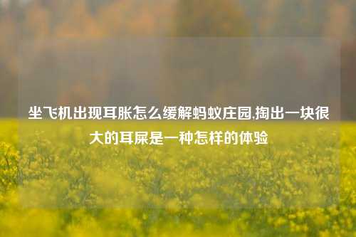 坐飞机出现耳胀怎么缓解蚂蚁庄园,掏出一块很大的耳屎是一种怎样的体验