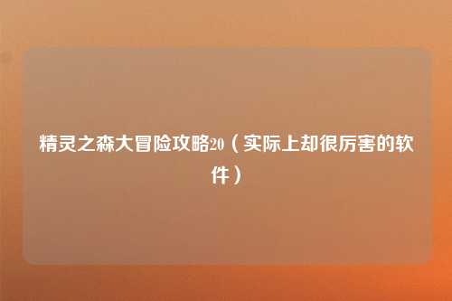 精灵之森大冒险攻略20（实际上却很厉害的软件）