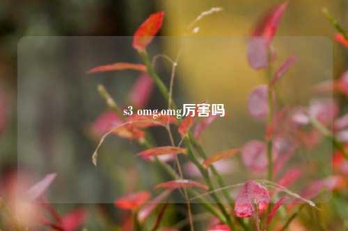 s3 omg,omg厉害吗