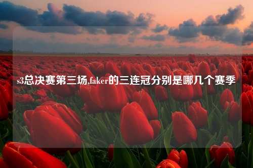 s3总决赛第三场,faker的三连冠分别是哪几个赛季