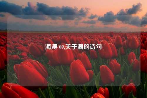 海涛 09,关于潮的诗句