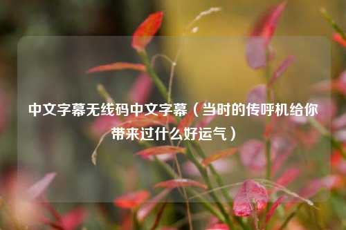 中文字幕无线码中文字幕（当时的传呼机给你带来过什么好运气）