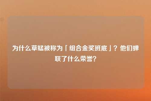 为什么草蜢被称为「组合金奖班底」？他们蝉联了什么荣誉？
