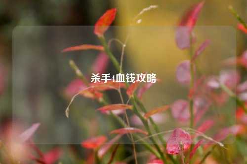 杀手4血钱攻略