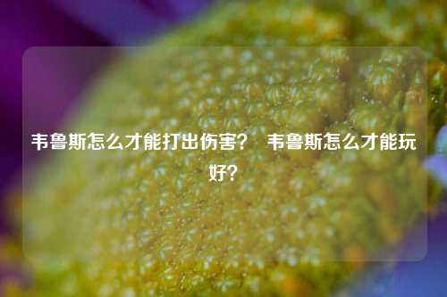 韦鲁斯怎么才能打出伤害？  韦鲁斯怎么才能玩好？