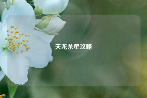 天龙杀星攻略