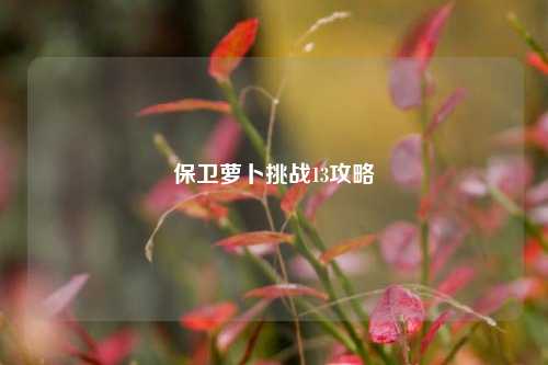 保卫萝卜挑战13攻略