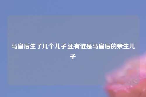 马皇后生了几个儿子,还有谁是马皇后的亲生儿子