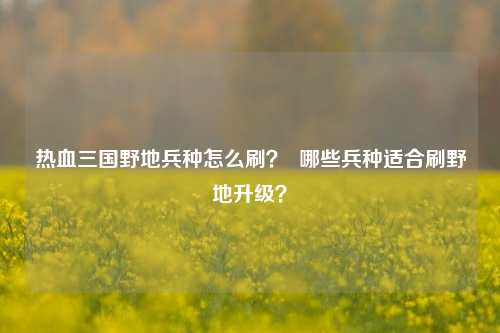 热血三国野地兵种怎么刷？  哪些兵种适合刷野地升级？