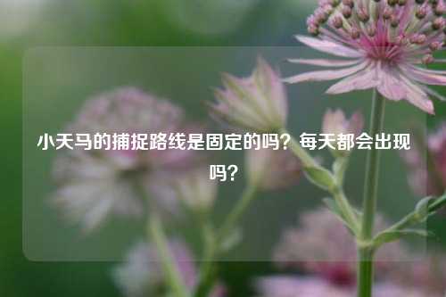 小天马的捕捉路线是固定的吗？每天都会出现吗？
