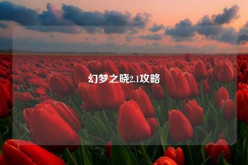 幻梦之晓2.1攻略