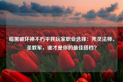 暗黑破坏神不朽平民玩家职业选择：死灵法师、圣教军，谁才是你的最佳搭档？