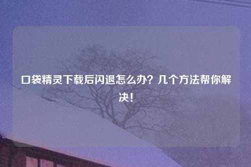口袋精灵下载后闪退怎么办？几个方法帮你解决！