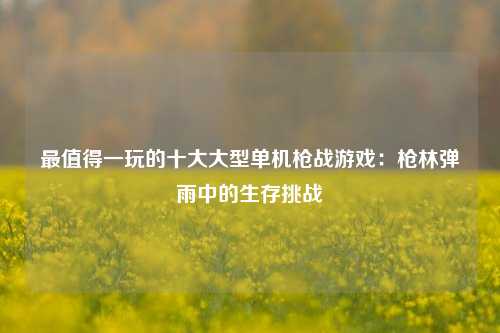 最值得一玩的十大大型单机枪战游戏：枪林弹雨中的生存挑战