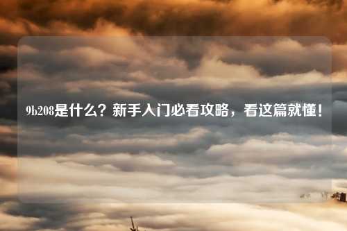 9b208是什么？新手入门必看攻略，看这篇就懂！