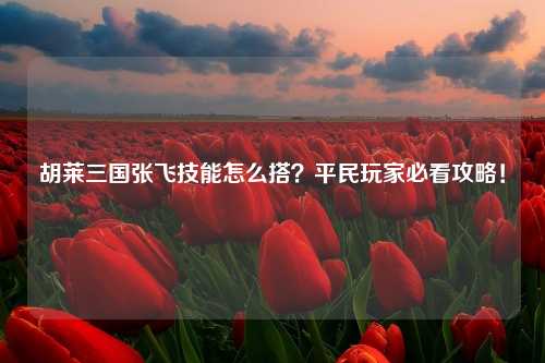 胡莱三国张飞技能怎么搭？平民玩家必看攻略！